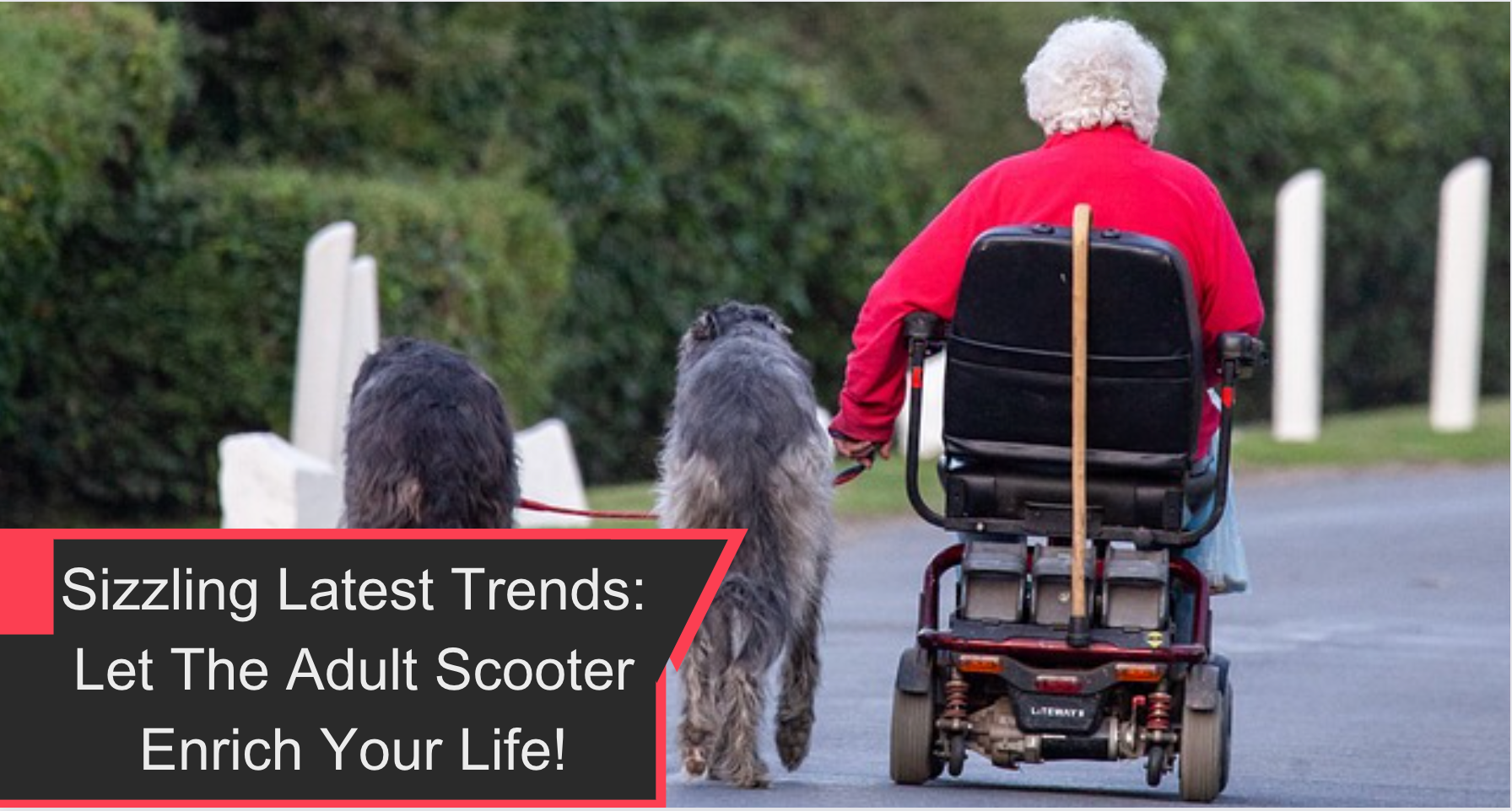 Sizzling Latest Trends: Let The Adult Scooter Enrich Your Life!